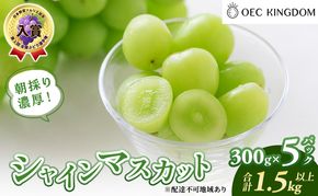 ぶどう 2026年 先行予約 シャインマスカット 300g×5パック(1.5kg以上) ブドウ 葡萄 岡山県産 国産 フルーツ 果物 ギフト OEC KINGDOM ぶどう家 果物類