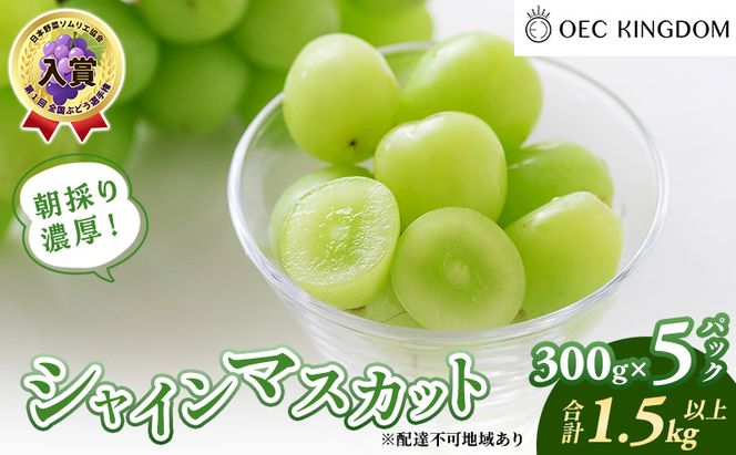 ぶどう 2026年 先行予約 シャインマスカット 300g×5パック(1.5kg以上) ブドウ 葡萄 岡山県産 国産 フルーツ 果物 ギフト OEC KINGDOM ぶどう家 果物類
