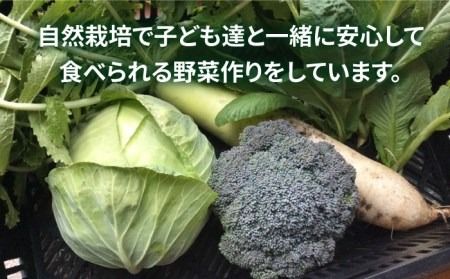 【ふるさと納税】糸島で農業体験(1名) 栽培期間中農薬不使用 無化学肥料 無除草剤の畑で野菜のお世話体験！[AAL001]