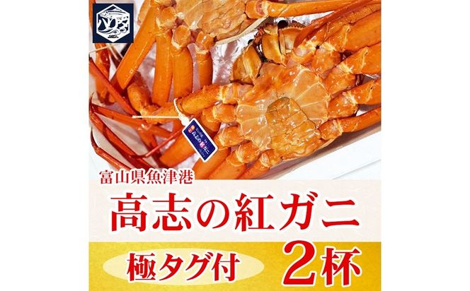 【冷蔵】自社漁船直送！高志の紅ガニ 極上タグ付×2ハイセット ※2026年9月～発送
