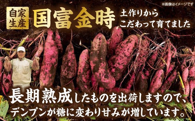国富金時 蜜芋（400g×2）合計800g さつまいも 焼き芋 やきいも 干し芋 ほしいも スイーツ 甘い 真空パック 蜜芋 デザート セット ご褒美 おやつ お取り寄せ 贈り物 ギフト プレゼント