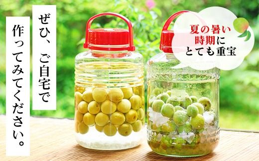 【2025年発送分先行予約】旬をお届け！青梅【２L～３Lサイズ５㎏】 ANAR019