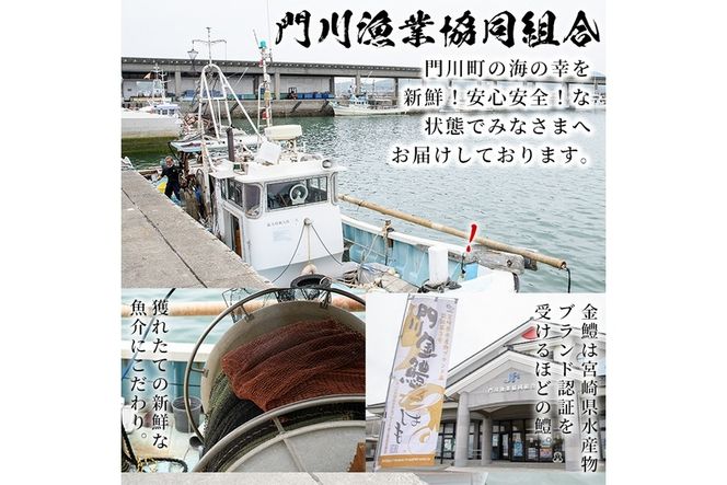 鱧の一夜干し(計1kg)ハモ 干物 魚介 おつまみ おかず 小分け 冷凍 国産 宮崎県 門川町【O-2】【門川漁業協同組合】