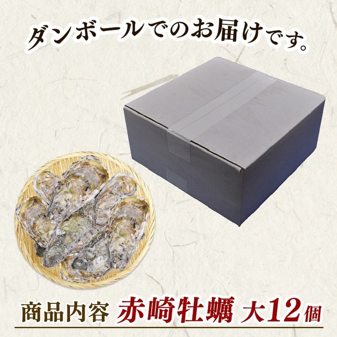 殻付き牡蠣 12個 カンカン焼きおかわり用 加熱用 殻付き牡蠣 加工食品 冷凍 鍋 かき 牡蠣 カキ  オイスター oyster アヒージョ バーベキュー BBQ フライ 揚げ物 ごはん 夕飯 おかず おつまみ 晩酌 米 丼 海産物 海鮮 魚介 魚介類 贈答品 お中元 大船渡 三陸 岩手県 国産［kama042］