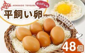 北海道 豊浦 おふけしの平飼い卵 48個 