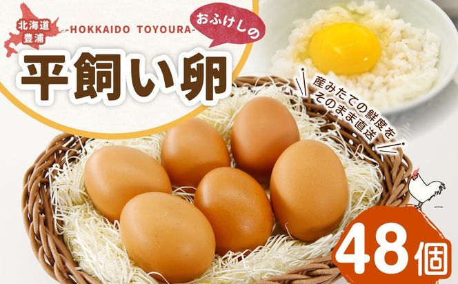 北海道 豊浦 おふけしの平飼い卵 48個 