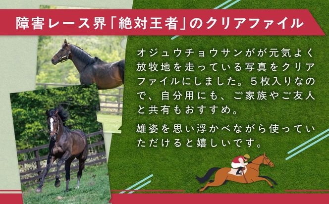 【オジュウチョウサン】クリアファイル（写真）5枚入り BRTV019