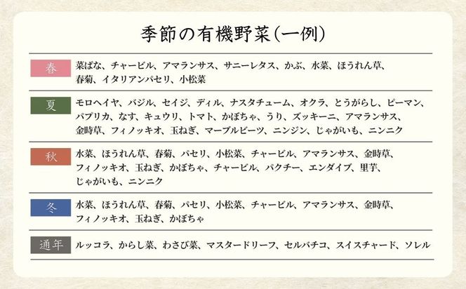 西田農園　季節の有機野菜詰合せ　6ヶ月定期便  da003t06