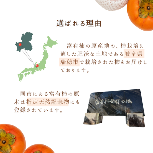 y򕌌szUmai ` xL v~A 6 2.0kg2025N11{`12{ɏ\