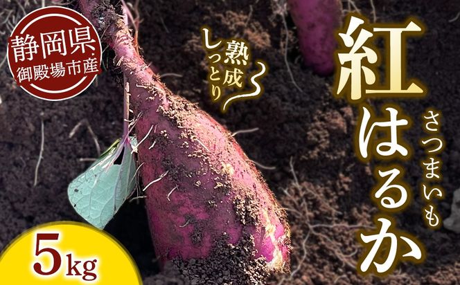 さつまいも 紅はるか 5kg | サツマイモ さつま芋 芋 べにはるか 熟成 静岡県 御殿場市 ※2026年10月～発送