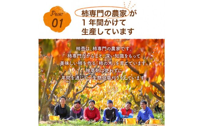 【柿専業の農家が作る】出雲産甘柿のドライフルーツ 322032_BK003
