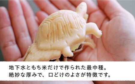 ジェラート アイス 最中 ジェラート カメ六さん 最中種8個 アイス2種 あんこ付き 糸島市 / LoiterMarketLABO [AGD034] アイス モナカ