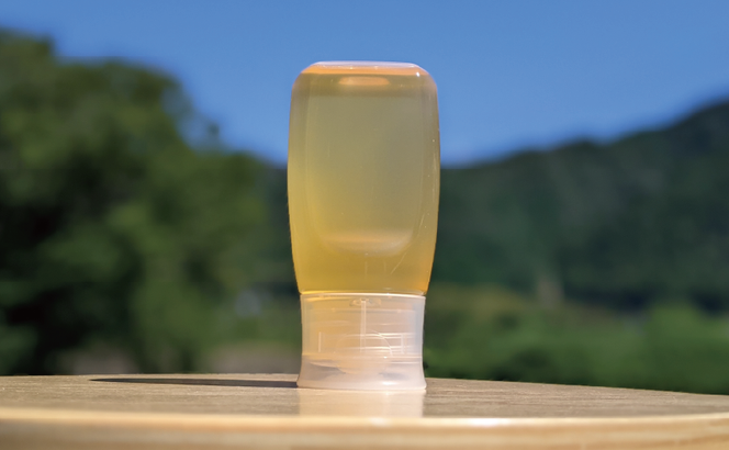 国産蜂蜜 生はちみつ 非加熱 天然蜂蜜 岐阜県 美濃市産 合計300g 深田養蜂のハチミツ (蜂蜜300g入りピタッとボトル1本)