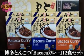 【C-124】博多とんこつ「Bacacaカレー」12食セット