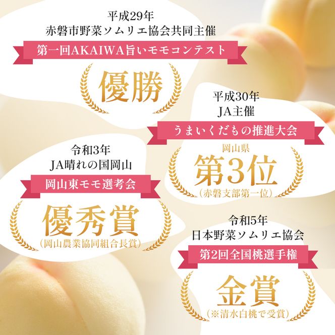 桃 2026年 先行予約 清水 白桃 をお届け！約1.5kg 5～7玉 糖度センサー選果 糖度12度以上 もも モモ 岡山県 赤磐市産 国産 フルーツ 果物 ギフト あみかフルーツ 果汁 産地直送 