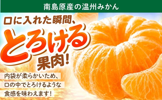 【11月末〜発送】温州みかん 3kg（S〜2L） / みかん ミカン 蜜柑 フルーツ 果物 旬 先行予約 柑橘 産地直送 家庭用 国産 / 南島原市 / 株式会社マルハチ[SFG003]