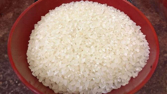 【 定期便 3ヶ月 連続 】【精米日出荷】 令和6年産 関さん「姫ごのみ」 4.5kg 新鮮 米 特別栽培農産物 認定米 お米 白米 精米 ひめごのみ 令和6年産 新米 [AM164us]