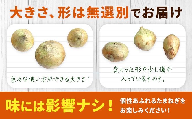 矢掛町産 訳あり 玉ねぎ たまねぎ 選べる内容量 大きさ不揃い 訳ありたまねぎ《5月末～7月中旬頃に出荷予定》 約 2kg or 約 5kg or 約 10kg 野菜 岡山県 矢掛町---ofn_ytn_e57_25_4500_2---