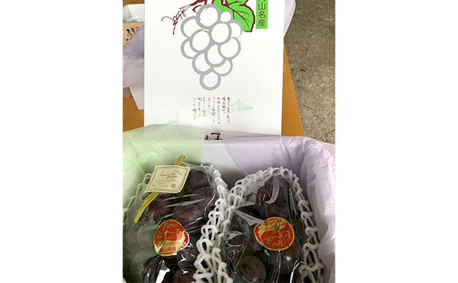 ニュー ピオーネ 1kg前後 2房 葡萄 フルーツ 岡山 高梁市産 ぜきお農園 ぶどうclub 2026年 先行予約 果物 