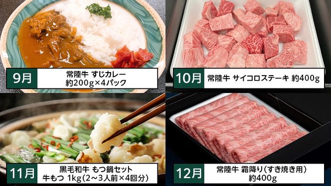 【茨城県共通返礼品】【定期便】 【12回コース】 【令和5年1月～発送開始】 常陸牛 贅沢 満喫 定期便（12ヶ月連続でお届け） 牛肉 黒毛和牛 国産 切り落とし すき焼き 焼肉 赤身 霜降り ステーキ ハンバーグ ローストビーフ [AU032ya]