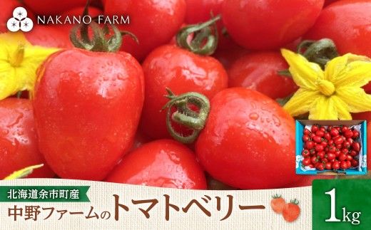 【先行予約7月上旬発送】余市町 中野ファーム トマトベリー 1kg ハート型フルーツミニトマト 甘くて完熟 お弁当に最適 先行予約 甘いトマト 完熟 サラダ お弁当 おやつ 彩り かわいい_Y026-0014