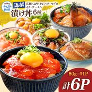 漬け丼6種セット 真鯛・ブリ・カンパチ・マグロ・サーモン・イカ 1食80g×計6P タイ 鰤 鮪 海鮮丼 刺身 海鮮 魚介 魚 お茶漬け 炊き込みご飯 惣菜 おかず 冷凍 配送