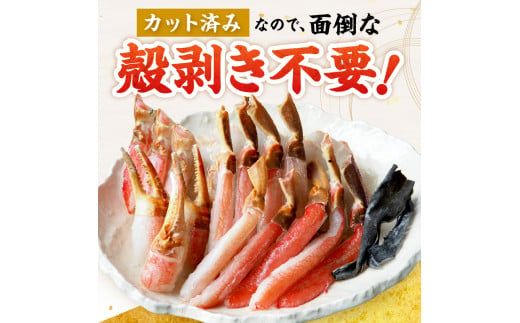 【北見応援返礼品】北見市加工 生冷本ズワイガニセット 800g 昆布入 ( 海鮮 魚介類 魚介 蟹 かに カニ セット 鍋 カニ鍋 カニ爪 ズワイガニ かにしゃぶ カット済 贈答 ギフト 熨斗 のし ふるさと納税 )【094-0071-yell】