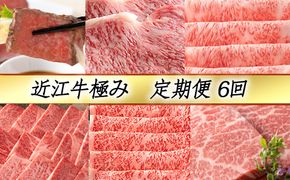 【定期便6回】【カネ吉山本】近江牛極み定期便-慶-【Y133W】（国産牛　和牛　ブランド牛　ブランド和牛　黒毛和牛　牛肉　肉　高級　人気　おすすめ　神戸牛　松阪牛 に並ぶ 日本三大和牛 近江牛）