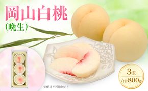 もも 2026年 先行予約 岡山白桃 ロイヤル (晩生) 3玉 合計約800g  (8月中旬～8月下旬出荷予定)