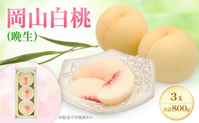 もも 2026年 先行予約 岡山白桃 ロイヤル (晩生) 3玉 合計約800g  (8月中旬～8月下旬出荷予定)