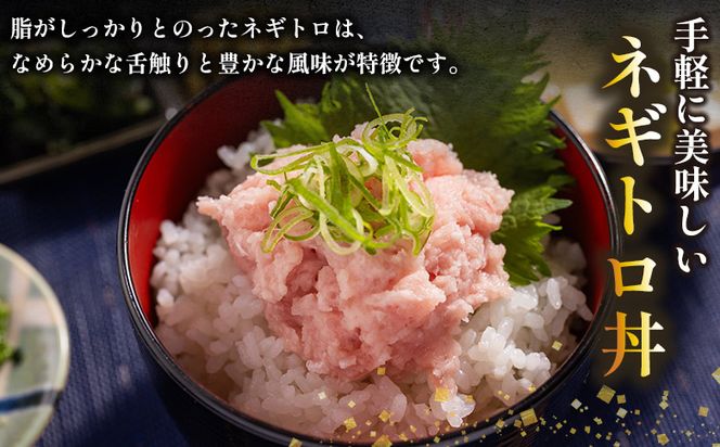 ネギトロ 定期便 訳あり ネギトロ 計700g 70g×10袋 【2回定期便】 ねぎとろ まぐろ マグロ たたき 配送回数 定期便 小分け 海鮮 魚介 冷凍食品 加工品 手巻き寿司 海鮮丼 刺身 おかず おつまみ 郷土料理 刺身 株式会社大熊 高知県 香南市 冷凍 Wda-0019