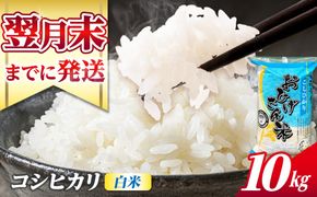 コシヒカリ 白米 10kg / 脇野コンバイン[AECP022-1]