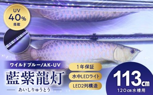 スリム&高耐久!金龍を美しく、UV-Aチップ配合の水中LED|AK-120UV-EX［172C15］藍底 金龍 ワイルドブルー 照射 水中 アロワナ UVチップ 水槽ライト テンニングライト LED ライト 照明 水中照明 光 綺麗 強化ガラス 1年保証 簡単 防水 吸盤 設置 でんらい インテリア 雑貨 愛知県 小牧市 送料無料