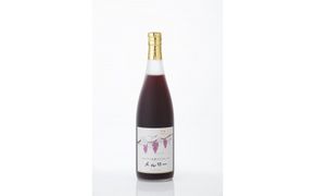 井筒ワイン 井筒プレミアム 完熟ぶどうジュース メルロー 720ml × 2本 極甘口 発売元 株式会社片山