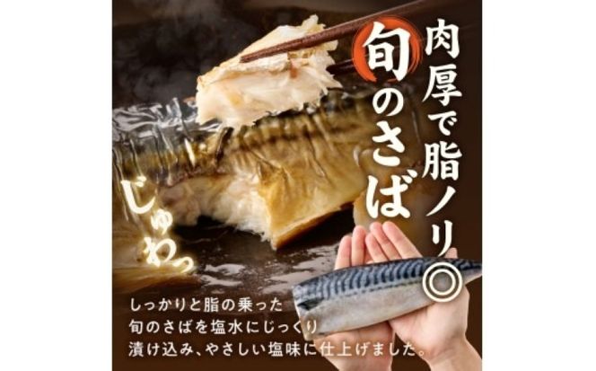 G7321_塩さばフィレ14枚入(真空パック入)