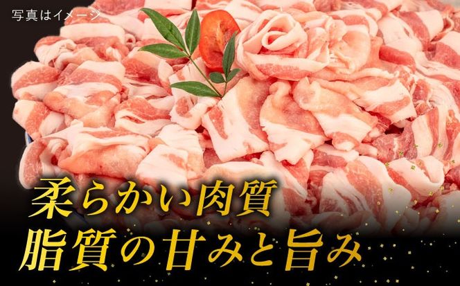 【 しゃぶしゃぶ 】糸島産豚肉 豚 ロース スライス 1.2kg 糸島 / 糸島ミートデリ工房 [ACA092] 豚肉 豚ロース ロース