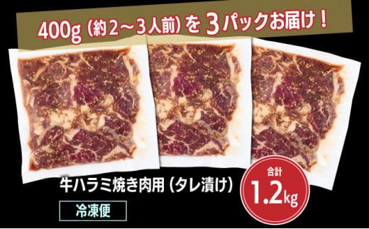 秘伝のタレ漬け！ハラミ焼き肉用 1.2kg B-1012