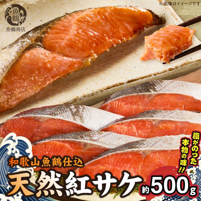 脂と旨みたっぷり！魚鶴仕込の天然 紅サケ 鮭 サーモン 切り身 約500g  _G7377