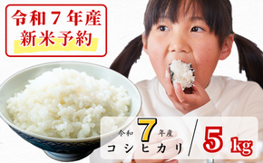《令和7年産新米予約・10月ごろよりお届け開始》白米 5kg 令和7年産 コシヒカリ 岡山 あわくら源流米 K-af-AECA