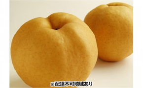 梨 早期受付 岡山 の あたご 梨 2～3玉（2kg以上） 合計2kg以上 なし ナシ 岡山県産 国産 フルーツ 果物 ギフト桃茂実苑 あたご梨 糖度12.5度以上 2キロ