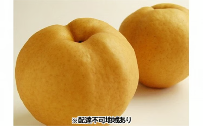 梨 早期受付 岡山 の あたご 梨 2～3玉（2kg以上） 合計2kg以上 なし ナシ 岡山県産 国産 フルーツ 果物 ギフト桃茂実苑 あたご梨 糖度12.5度以上 2キロ