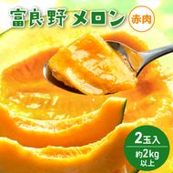 【2026年発送】 富良野メロン 赤肉 2玉入(約4kg以上) メロン ふらのメロン フルーツ 果物 くだもの 美味しい 甘い ギフト プレゼント 北海道 富良野市