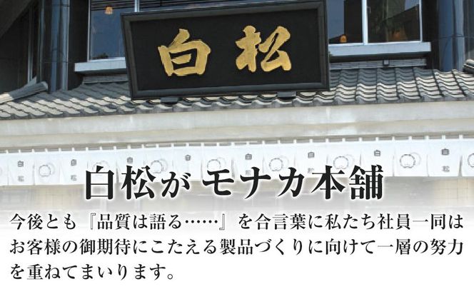 白松がモナカ 中型詰合せ 12個入【モナカ 和菓子 詰め合わせ 仙台銘菓 白松がモナカ 中型詰合せ ふるさと納税 仙台市 名物菓子】 041009_AR001