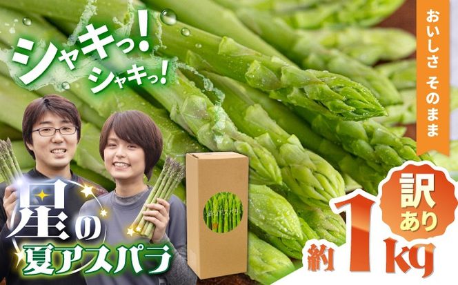 【2026年5月下旬～発送】【数量限定】【訳あり】甘い！柔らかい！【星のアスパラ】厳選 グリーン アスパラガス 1kg / アスパラ あすぱら 厳選 あすぱらがす 採れたて 新鮮 旬 産地直送 野菜 訳あり L・M・Sサイズ ミックス / 南島原市 / ほしのYA [SEY021]