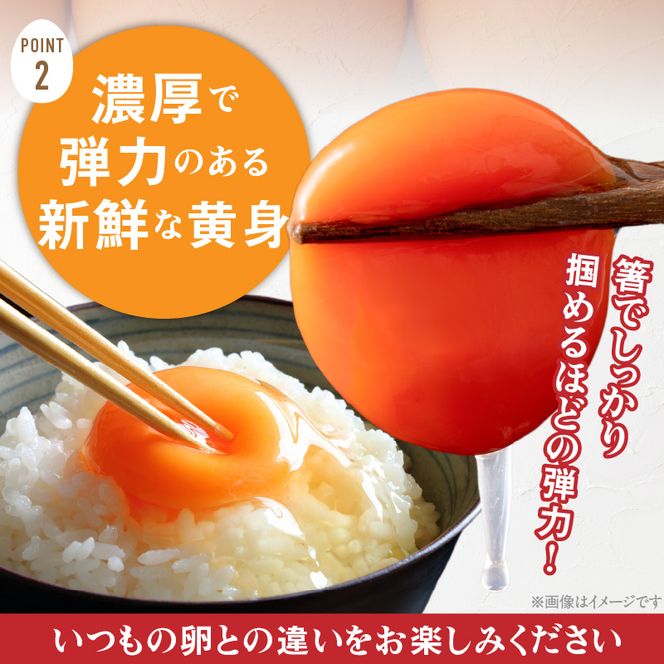 【3ヶ月定期便】【山ちゃん家の生みたて葉酸たまご】名古屋コーチン卵（40個入り）［132Y03-T］