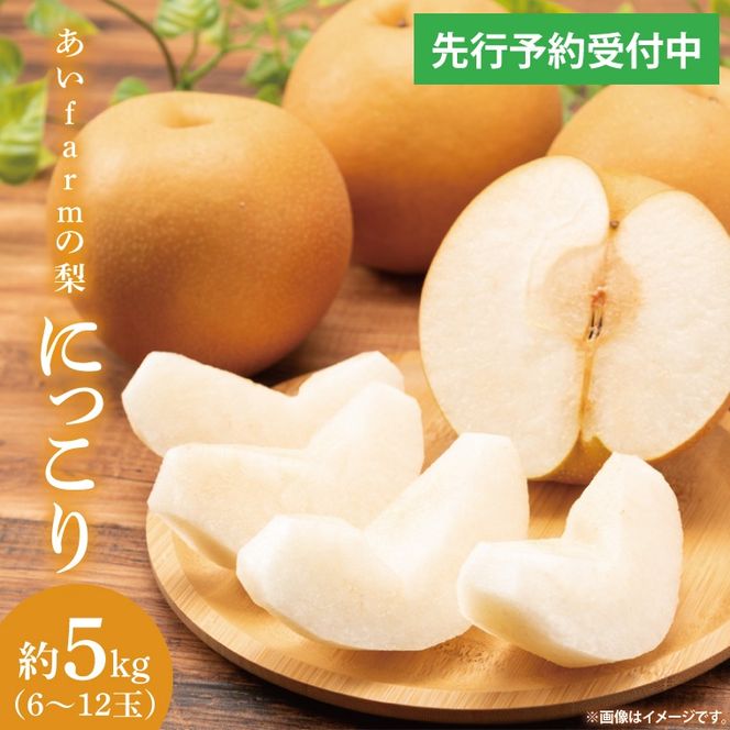 【先行予約】【数量限定】あい farm の梨 にっこり 5kg (6～12玉) | 10月中旬より順次発送 梨 なし フルーツ 果物 新鮮 旬 梨園 益子町産 (DQ004)