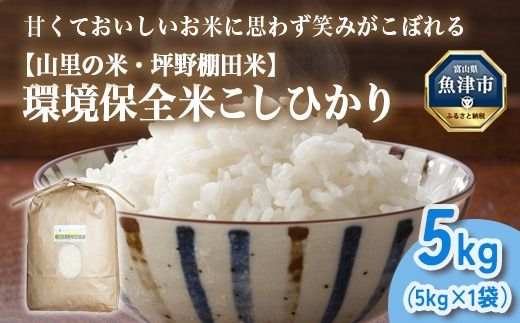 山の湧き水 寒暖差 山里 山里の米･坪野米 R8年産 環境保全米こしひかり 5kg　※北海道・沖縄・離島への配送不可 ※2026年10月～発送