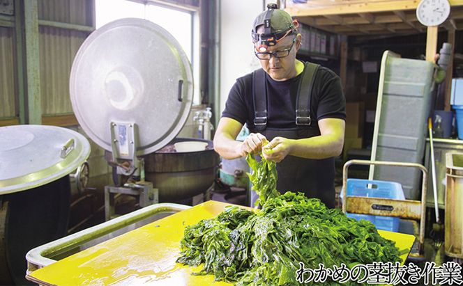 湯通し塩蔵 瀬戸内 わかめ 500g×2袋【岡山 瀬戸内海 天然 塩蔵】 無添加 無着色 健康 味噌汁 炊き込み サラダ 