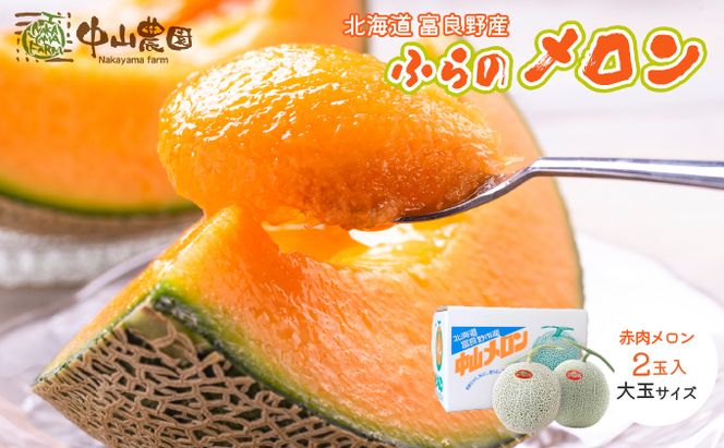 テレビで紹介されました！【2026年夏発送】北海道 富良野産 赤肉メロン 2玉 計3.2kg以上 大玉サイズ メロン