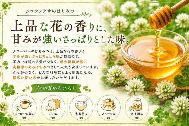 ＜北海道標茶産＞しろつめ草の蜂蜜　300g×2本　計600g【 はちみつ しろつめ草 蜂蜜 天然 甘味料 国産 標茶町 北海道 】 016641_AE001